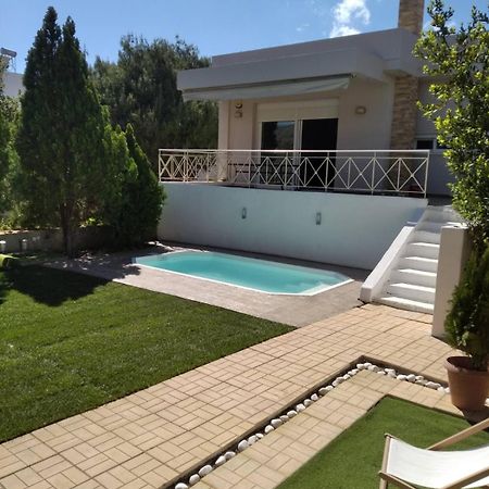 Cozy Villa Vita Lagonisi Kalivia Thorikou エクステリア 写真