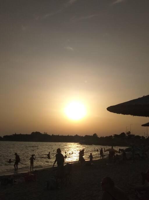 Cozy Villa Vita Lagonisi Kalivia Thorikou エクステリア 写真