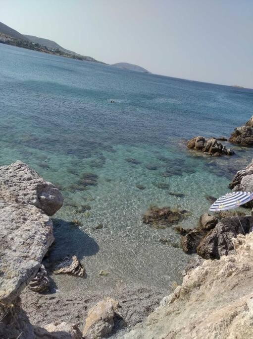 Cozy Villa Vita Lagonisi Kalivia Thorikou エクステリア 写真