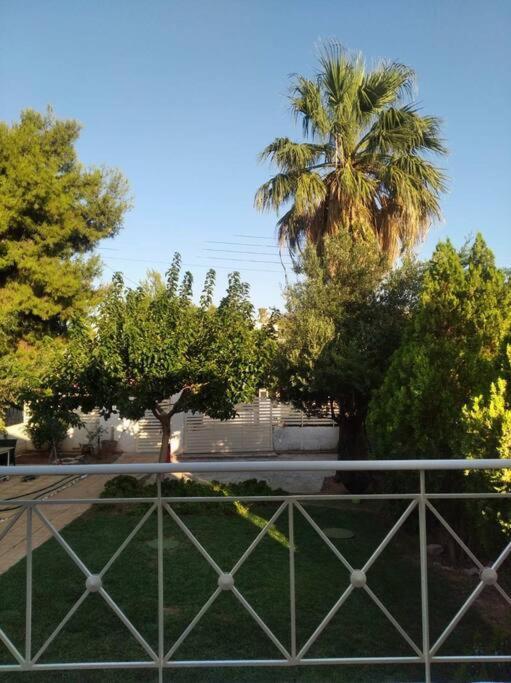 Cozy Villa Vita Lagonisi Kalivia Thorikou エクステリア 写真