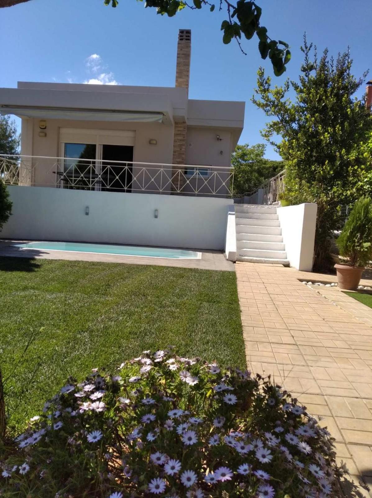 Cozy Villa Vita Lagonisi Kalivia Thorikou エクステリア 写真
